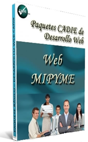 Sitio web mipyme